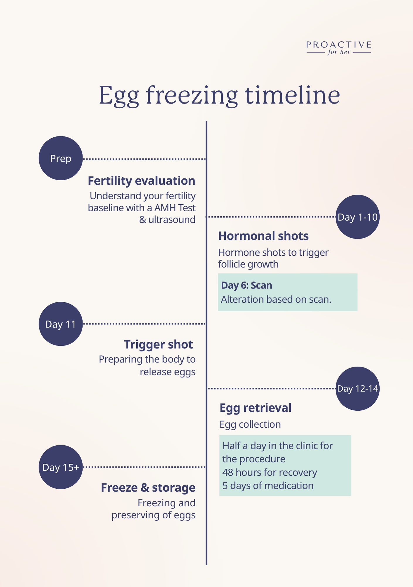 egg freezing timeline